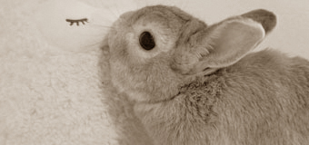 諸事情のため寺院名非公開