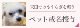 天国でのやすらぎを願う【天名授与（ペット戒名授与）】