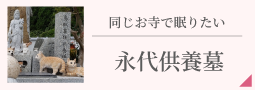 同じお寺で眠りたい【永代供養墓】