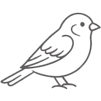 ペット火葬で対応できる鳥